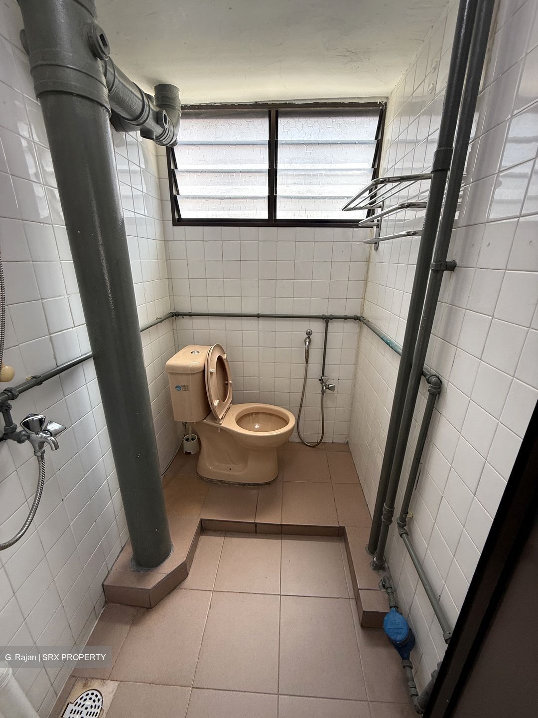 Hougang Avenue 1 (D19), Shop House #611447541